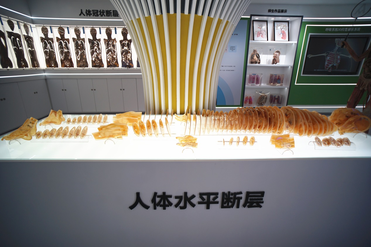 说明: D:\照片\校园风景、设施、设备、文化、专业照片\实训中心、生命科学馆\20250609广角镜拍摄\DSC07483_副本.jpg