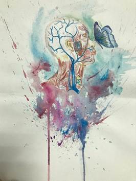 说明: IMG_256