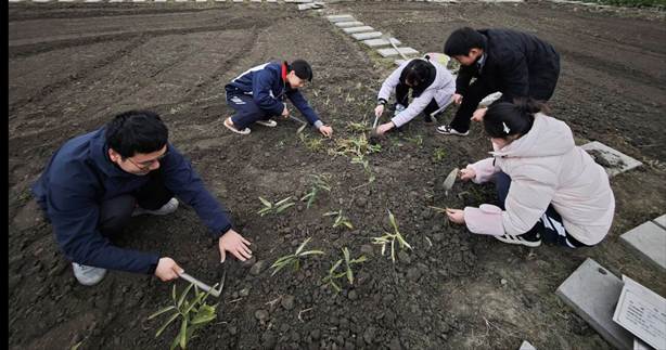 74c68360fe31062e34cb870ae13051e5_720