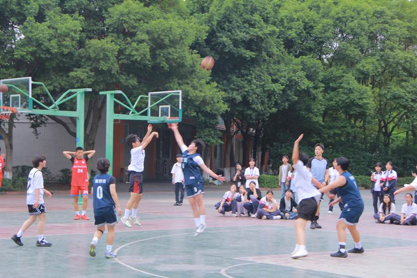 图片5